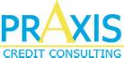 Praxis Credit Consulting